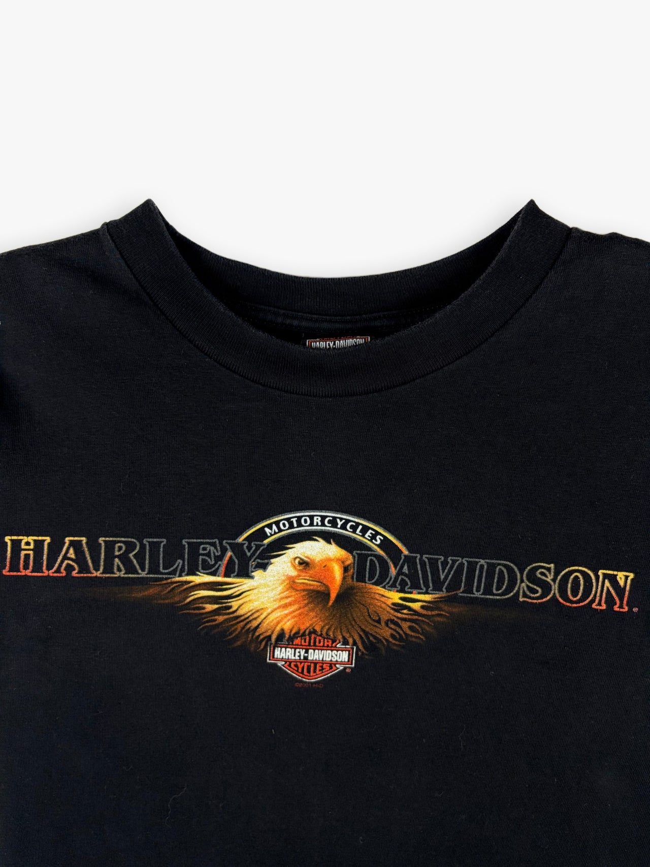 2001 Harley Davidson T-Shirt