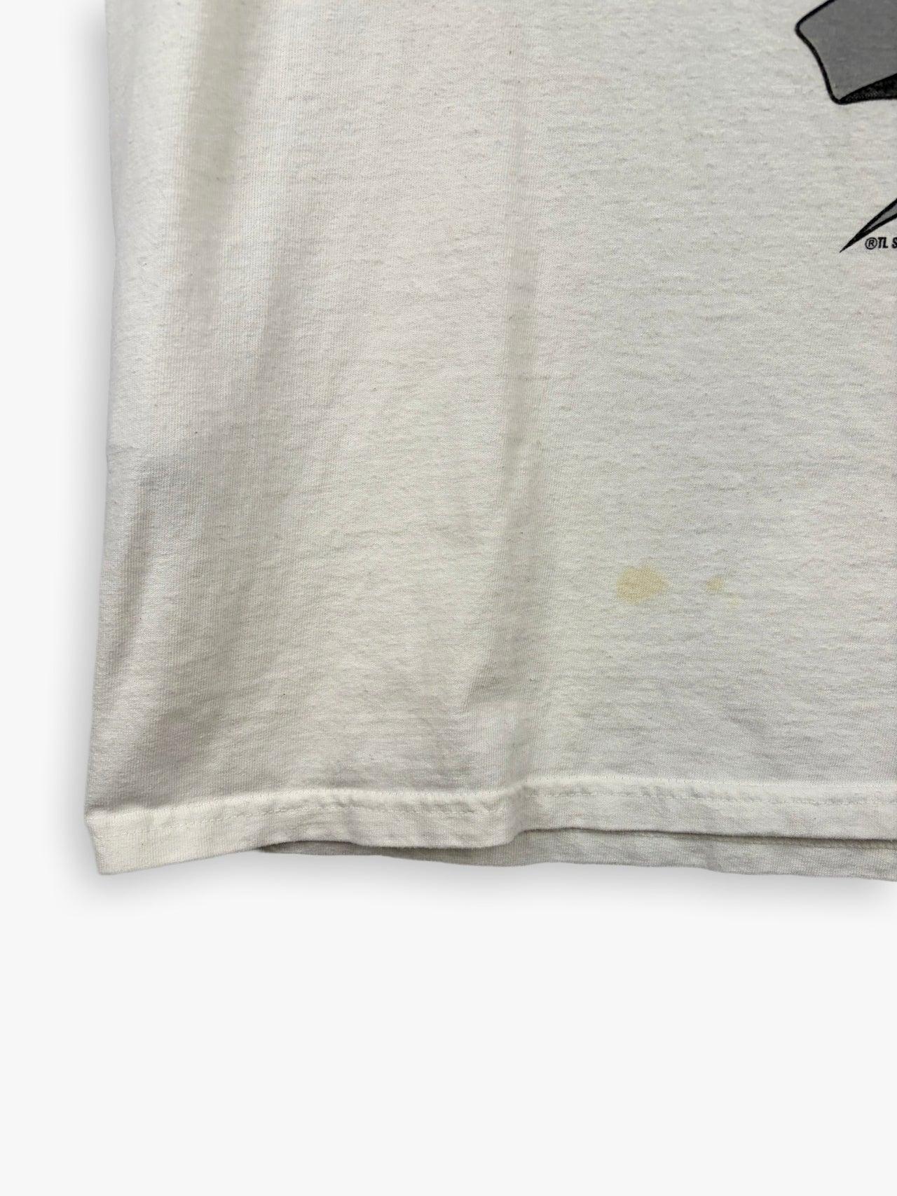 2000 Appalachian State Mountaineers Championship T-Shirt