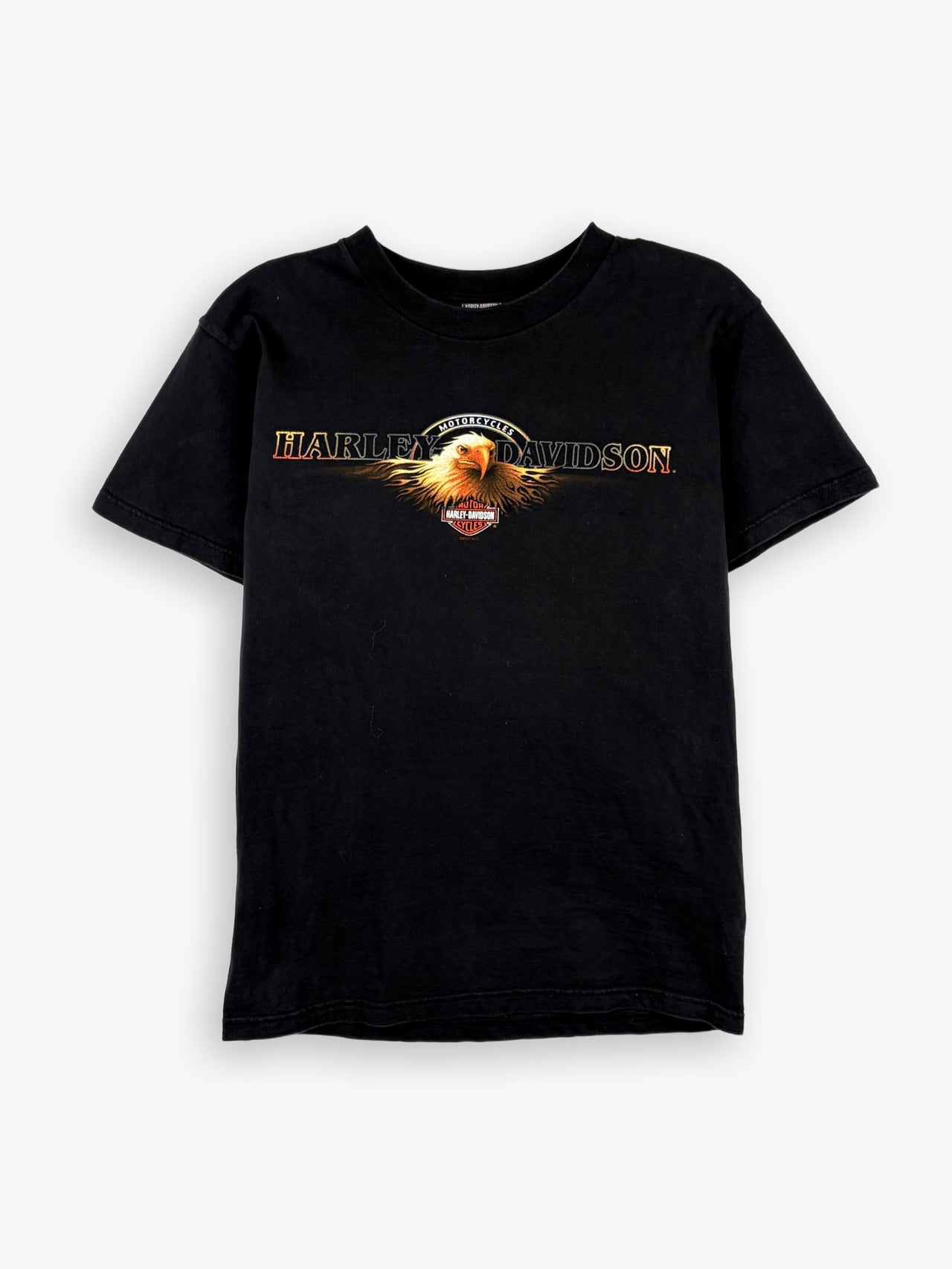2001 Harley Davidson T-Shirt