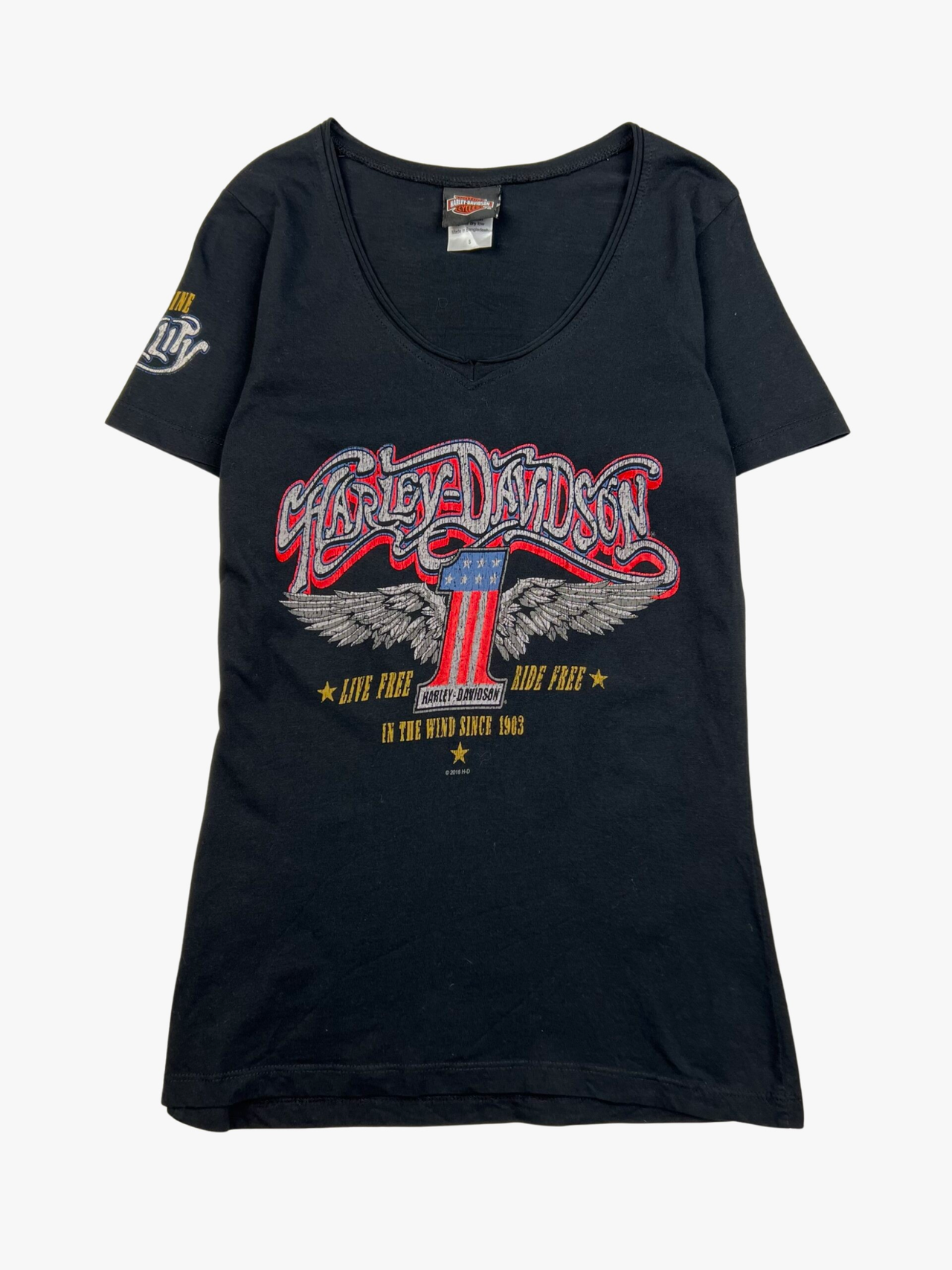 Harley Davidson Slim Fit T-Shirt